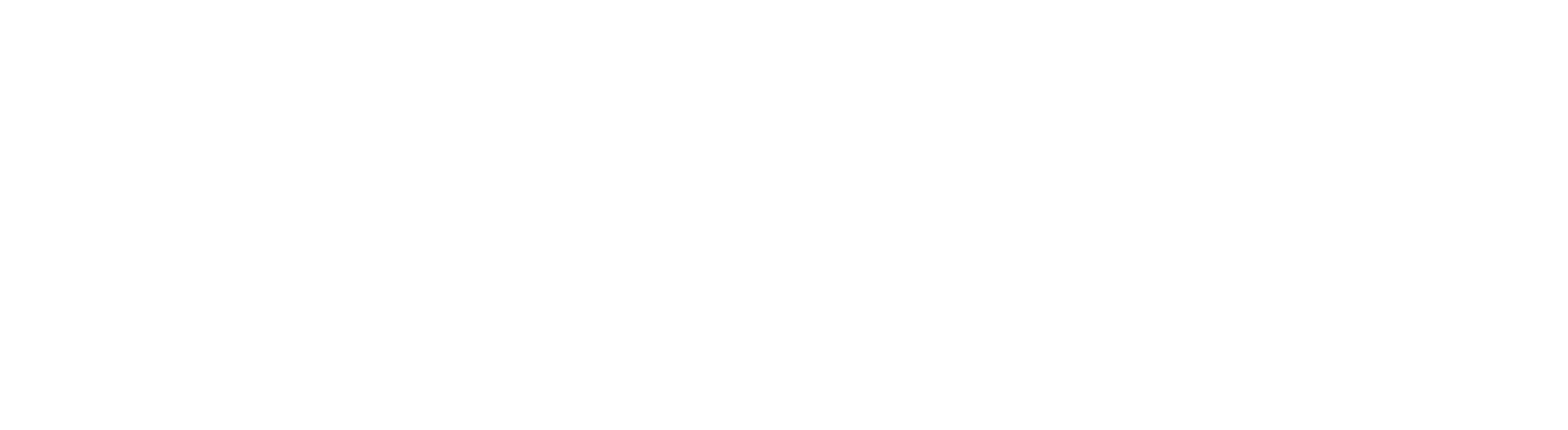 Sooch Foundation Logo White