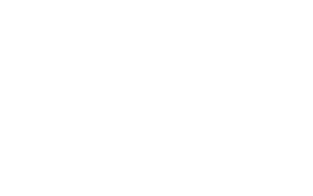 United Ways of Texas White
