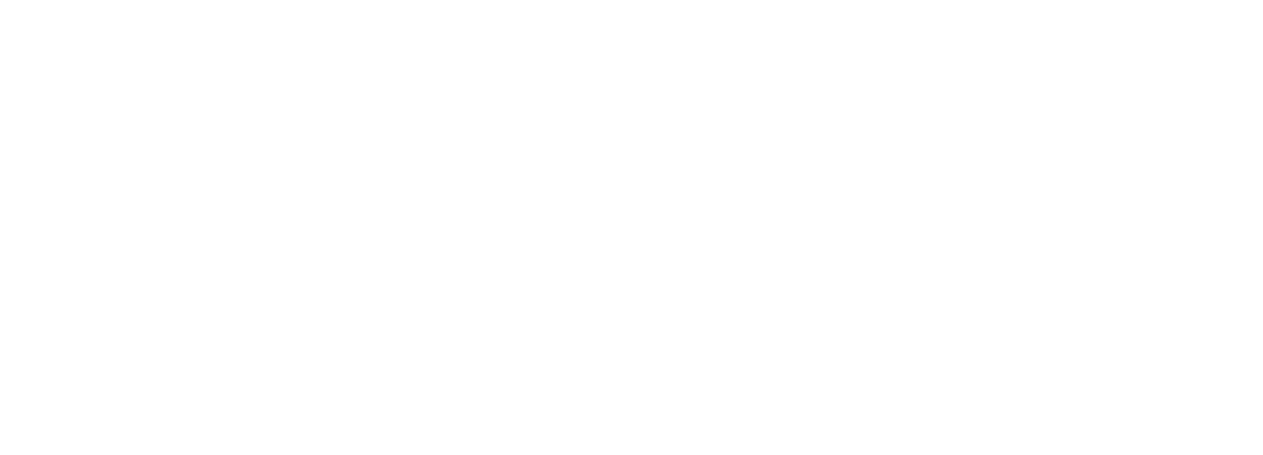 AFN 2021 logo – vertical – white